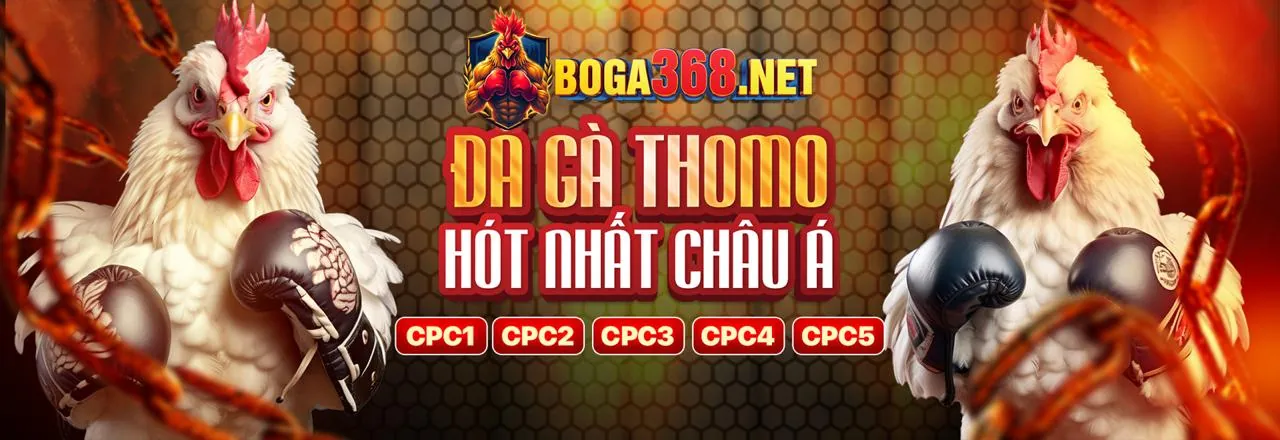 Đá gà trực tuyến 7clubs web